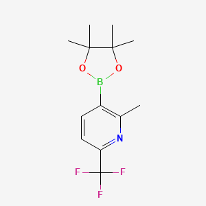 molecular formula C13H17BF3NO2 B12348347 2-Methyl-3-(4,4,5,5-tetramethyl-1,3,2-dioxaborolan-2-yl)-6-(trifluoromethyl)pyridine 