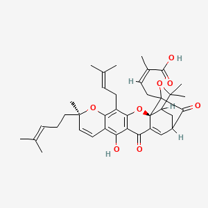 molecular formula C38H44O8 B1234895 (Z)-4-[(2S,8R)-12-hydroxy-8,21,21-trimethyl-5-(3-methylbut-2-enyl)-8-(4-methylpent-3-enyl)-14,18-dioxo-3,7,20-trioxahexacyclo[15.4.1.02,15.02,19.04,13.06,11]docosa-4(13),5,9,11,15-pentaen-19-yl]-2-methylbut-2-enoic acid 
