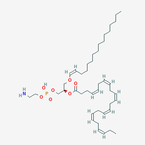 molecular formula C43H74NO7P B1234898 GPEtn(16:0p/22:6(4Z,7Z,10Z,13Z,16Z,19Z)) 