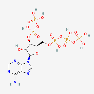 molecular formula C10H18N5O19P5 B1234930 Pppapp CAS No. 53951-06-7