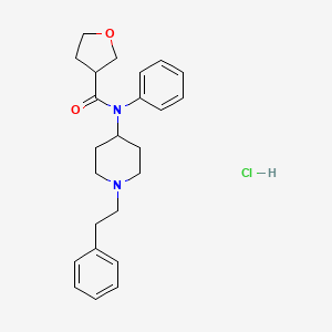 molecular formula C24H31ClN2O2 B12349518 N-(1-phenethylpiperidin-4-yl)-N-phenyltetrahydrofuran-3-carboxamide,monohydrochloride CAS No. 2306827-13-2