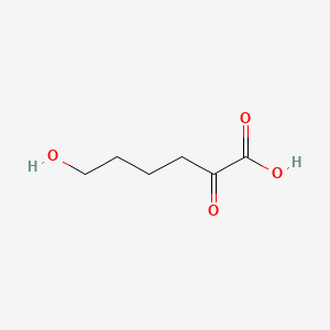 molecular formula C6H10O4 B1234997 6-Hydroxy-2-oxohexanoic acid 
