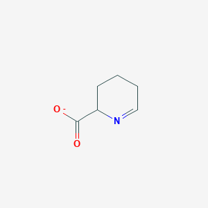 molecular formula C6H8NO2- B1235074 1-Piperideine-6-carboxylate 