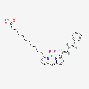 molecular formula C30H35BF2N2O2 B12351008 (T-4)-difluoro[5-[[5-[(1E,3E)-4-phenyl-1,3-butadien-1-yl]-2H-pyrrol-2-ylidene-kappaN]methyl]-1H-pyrrole-2-undecanoato(2-)-kappaN1]-borate(1-), monohydrogen 