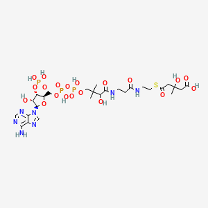 molecular formula C27H44N7O20P3S B1235103 5-[2-[3-[[4-[[[(2R,3S,4R,5R)-5-(6-aminopurin-9-yl)-4-hydroxy-3-phosphonooxyoxolan-2-yl]methoxy-hydroxyphosphoryl]oxy-hydroxyphosphoryl]oxy-2-hydroxy-3,3-dimethylbutanoyl]amino]propanoylamino]ethylsulfanyl]-3-hydroxy-3-methyl-5-oxopentanoic acid 