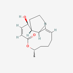 molecular formula C16H24O3 B1235130 Brefeldin C CAS No. 73899-78-2
