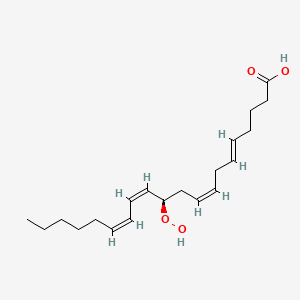 11-Hydroperoxyeicosa-5,8,12,14-tetraenoic acid