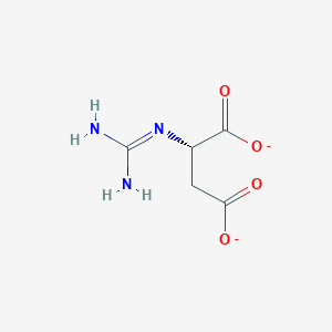 molecular formula C5H7N3O4-2 B1235202 N-amidino-L-aspartate(2-) 