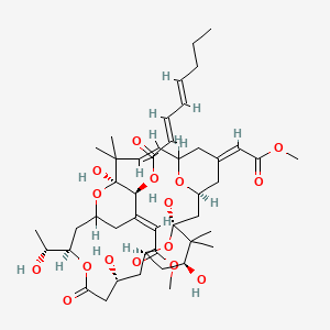 molecular formula C45H66O16 B1235227 [(1S,3S,5E,8E,11S,12S,13E,17R,21R,23R,25S)-1,11,21,25-tetrahydroxy-17-[(1R)-1-hydroxyethyl]-5,13-bis(2-methoxy-2-oxoethylidene)-10,10,26,26-tetramethyl-19-oxo-18,27,28,29-tetraoxatetracyclo[21.3.1.13,7.111,15]nonacos-8-en-12-yl] (2E,4E)-octa-2,4-dienoate 