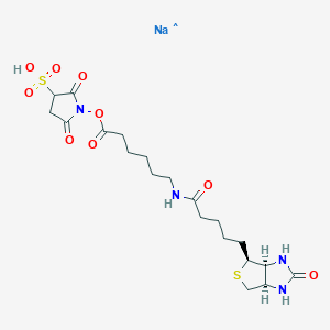 molecular formula C20H30N4NaO9S2 B12352772 Hexanoic acid, 6-[[5-[(3aS,4S,6aR)-hexahydro-2-oxo-1H-thieno[3,4-d]imidazol-4-yl]-1-oxopentyl]amino]-, 2,5-dioxo-3-sulfo-1-pyrrolidinyl ester, sodium salt (1:1) 