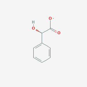molecular formula C8H7O3- B1235311 (S)-扁桃酸 