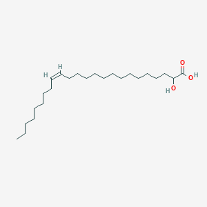 molecular formula C24H46O3 B1235384 Hydroxynervonic acid 