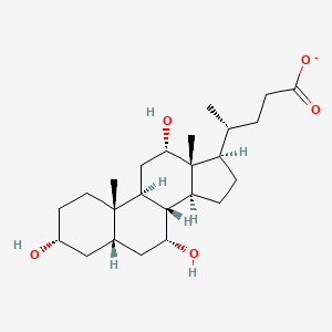 molecular formula C24H39O5- B1235396 3α,7α,12α-三羟基-5β-胆烷-24-酸 