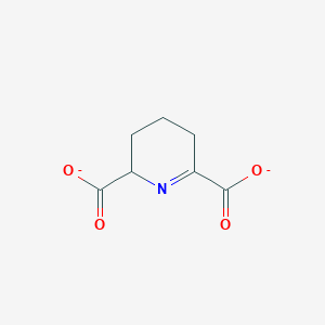 molecular formula C7H7NO4-2 B1235398 2,3,4,5-四氢吡啶-2,6-二羧酸酯 