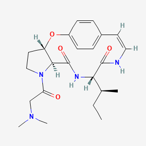 molecular formula C23H32N4O4 B1235458 Nummularine F CAS No. 58775-98-7