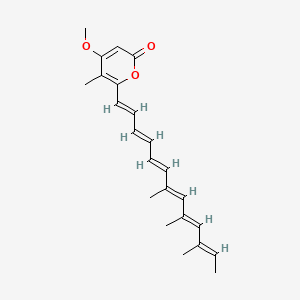 molecular formula C23H28O3 B1235539 Citreomontanine CAS No. 74474-66-1