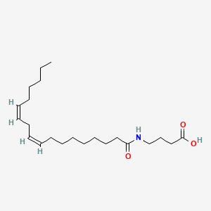 molecular formula C22H39NO3 B1235579 (Z,Z)-4-((1-Oxo-9,12-octadecadienyl)amino)butanoic acid CAS No. 84393-31-7