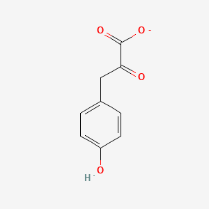 molecular formula C9H7O4- B1235634 3-(4-羟基苯基)丙酮酸 
