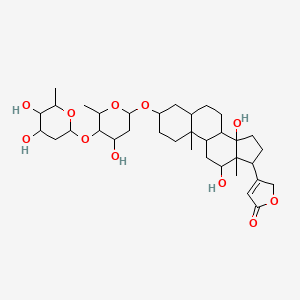 molecular formula C35H54O11 B1235639 3-[3-[5-(4,5-dihydroxy-6-methyloxan-2-yl)oxy-4-hydroxy-6-methyloxan-2-yl]oxy-12,14-dihydroxy-10,13-dimethyl-1,2,3,4,5,6,7,8,9,11,12,15,16,17-tetradecahydrocyclopenta[a]phenanthren-17-yl]-2H-furan-5-one 