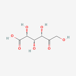 molecular formula C6H10O7 B1235716 5-酮-D-葡萄糖酸 CAS No. 815-89-4