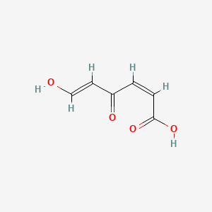 molecular formula C6H6O4 B1235784 (2Z,4E)-4-hydroxy-6-oxohexa-2,4-dienoic acid CAS No. 114828-85-2