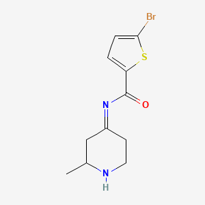 5-bromo-N-(2-methylpiperidin-4-ylidene)thiophene-2-carboxamide