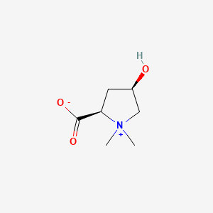 molecular formula C7H13NO3 B1235909 Turicine CAS No. 515-24-2