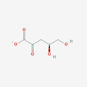 molecular formula C5H7O5- B1235920 2-Dehydro-3-deoxy-D-arabinonate 