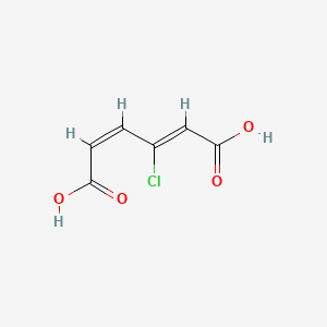 molecular formula C6H5ClO4 B1235924 3-Chloro-cis-muconic acid CAS No. 76799-83-2