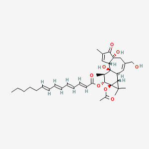 molecular formula C36H48O8 B1235926 2,4,6,8-Tetradecatetraenoic acid, 9a-(acetyloxy)-1a,1b,4,4a,5,7a,7b,8,9,9a-decahydro-4a,7b-dihydroxy-3-(hydroxymethyl)-1,1,6,8-tetramethyl-5-oxo-1H-cyclopropa(3,4)benz(1,2-e)azulen-9-yl ester, (1aR-(1aalpha,1bbeta,4abeta,7aalpha,7balpha,8alpha,9beta,9aalpha))- CAS No. 64604-09-7