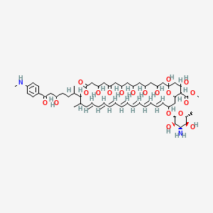 molecular formula C60H88N2O19 B1235946 Methyl (19E,21E,23E,25E,27E,29E,31E)-33-[(2R,3S,4S,5S,6R)-4-amino-3,5-dihydroxy-6-methyloxan-2-yl]oxy-1,3,5,7,9,13,37-heptahydroxy-17-[5-hydroxy-7-[4-(methylamino)phenyl]-7-oxoheptan-2-yl]-18-methyl-11,15-dioxo-16,39-dioxabicyclo[33.3.1]nonatriaconta-19,21,23,25,27,29,31-heptaene-36-carboxylate CAS No. 62534-68-3