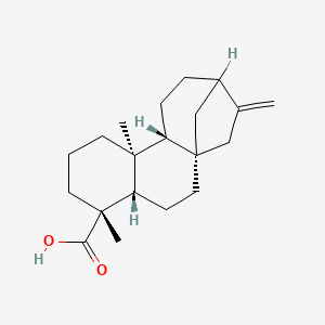 molecular formula C20H30O2 B1235987 (1S,4S,5R,9S,10R)-5,9-dimethyl-14-methylidenetetracyclo[11.2.1.01,10.04,9]hexadecane-5-carboxylic acid 