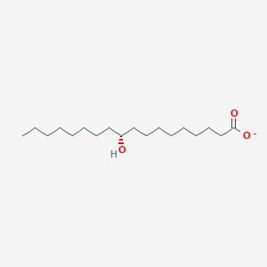 molecular formula C18H35O3- B1235989 (R)-10-羟基硬脂酸 