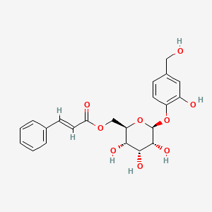 molecular formula C22H24O9 B1236027 Rubropilosin CAS No. 33993-67-8