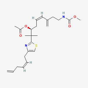 molecular formula C24H34N2O4S B12360671 [(Z,3S)-2-[4-[(2Z)-hexa-2,5-dienyl]-1,3-thiazol-2-yl]-9-(methoxycarbonylamino)-2-methyl-7-methylidenenon-5-en-3-yl] acetate 