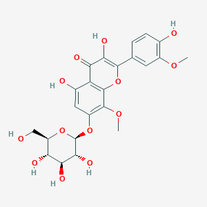 molecular formula C23H24O13 B12360884 3,5-dihydroxy-2-(4-hydroxy-3-methoxyphenyl)-8-methoxy-7-[(2S,3R,4S,5S,6R)-3,4,5-trihydroxy-6-(hydroxymethyl)oxan-2-yl]oxychromen-4-one 