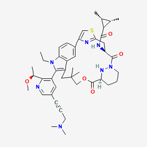 molecular formula C45H57N7O5S B12361183 pan-KRAS-IN-10 