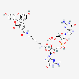 molecular formula C48H48N12O21P2 B12361862 2'-Fluo-AHC-c-di-GMP 