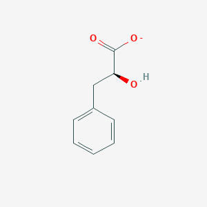 molecular formula C9H9O3- B1236187 (S)-3-苯基乳酸 
