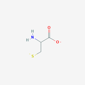 molecular formula C3H5NO2S-2 B1236188 Cysteinate(2-) 