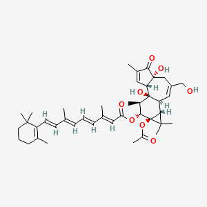 molecular formula C42H56O8 B1236204 12-O-Retinoylphorbol-13-acetate CAS No. 80188-99-4