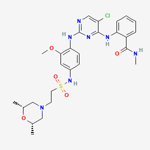 molecular formula C27H34ClN7O5S B12362291 Fak-IN-20 