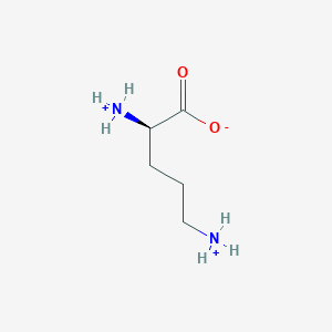 molecular formula C5H13N2O2+ B1236248 D-ornithinium(1+) 