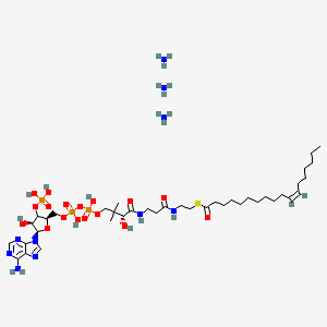 molecular formula C39H77N10O17P3S B12362521 (11Z-Octadecenoyl)-CoA (triammonium) 