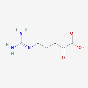 molecular formula C6H10N3O3- B1236268 5-胍基-2-氧戊酸 