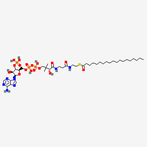 S-[2-[3-[[(2R)-4-[[[(2R,4S,5R)-5-(6-aminopurin-9-yl)-4-hydroxy-3-phosphonooxyoxolan-2-yl]methoxy-hydroxyphosphoryl]oxy-hydroxyphosphoryl]oxy-2-hydroxy-3,3-dimethylbutanoyl]amino]propanoylamino]ethyl] nonadecanethioate