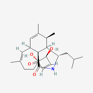 molecular formula C24H35NO4 B1236328 1H-Cycloundec(d)isoindole-1,15(2H)-dione, 3,3a,4,6a,9,10,11,12-octahydro-11,12-dihydroxy-4,5,8-trimethyl-3-(2-methylpropyl)-, (3S,3aR,4S,6aS,7E,11S,12S,13E,15aS)- CAS No. 72401-79-7