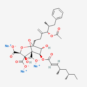 molecular formula C35H43Na3O14 B12363398 trisodium;(1S,3S,4S,5R,6R,7R)-1-[(4S,5R)-4-acetyloxy-5-methyl-3-methylidene-6-phenylhexyl]-6-[(E,4S,6S)-4,6-dimethyloct-2-enoyl]oxy-4,7-dihydroxy-2,8-dioxabicyclo[3.2.1]octane-3,4,5-tricarboxylate 