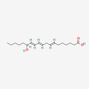 molecular formula C19H32O3 B1236373 (7E,10E,12E)-14-hydroxynonadeca-7,10,12-trienoic acid CAS No. 96332-05-7