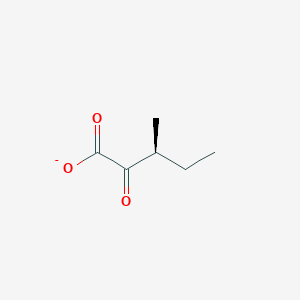 molecular formula C6H9O3- B1236394 (S)-3-甲基-2-氧戊酸 